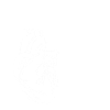 Anatomie d’un cœur humain Anatomique