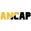 Anarchie Capitalisme Drapeau 4 ancap