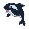 Orca Wal