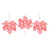 Maple leaves