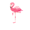Flamant rose