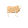 Schaf Schafe Schäfer Geschenk