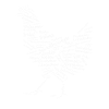 Poules poules