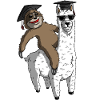 Sloth Riding Llama Funny Graduation