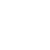 The Bride