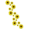 yellow sunflowers, sunflowers, flowers, flowers