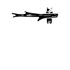 Hanging cat