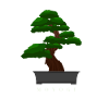 Moyogi
