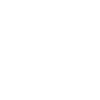 white dove peace dove pocket