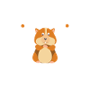 Guinea pig