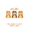 Guinea pig