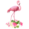 Flamingo