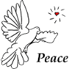 Peace dove white dove Peace Peace