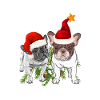 French Bulldog Christmas