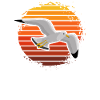 Möwe Wasservogel Shirt Geschenkidee