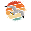 mouette