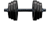 Musculation musculation musculation musculation