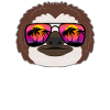 Sloth sunglasses funny gift summer