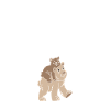 Big brother gift shirt