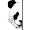 Halber Panda