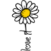 daisy