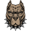 Aggressive dog