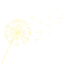 Dandelion dandelion
