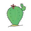 CACTUS CACTUS
