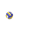 Volleyball coach trainer
