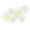 Daisy