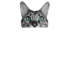 Cat Cats