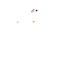Guinea pig