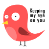 Funny observant bird