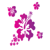 Hawaï Hisbiscus Fleurs Vacances