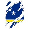 Curaçao flag torn motif