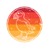 Retro puffin auk bird sunset