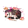 Hedgehog foraging