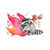 Raccoon in autumn