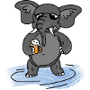 Elephant Beer Sunglasses Gift
