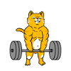 Cat doing deadlift fitness cat