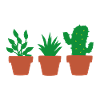plants