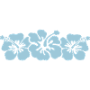 hibiscus 001