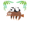 Panda paresseux