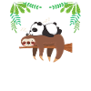 Sloth panda late riser