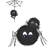 Spiders family