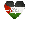 Palestine Flag Heartbeat