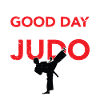 Judo fighter - judo