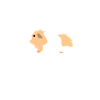 Guinea pig
