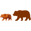 Bear walking