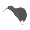 Cute New Zealand kiwi bird
